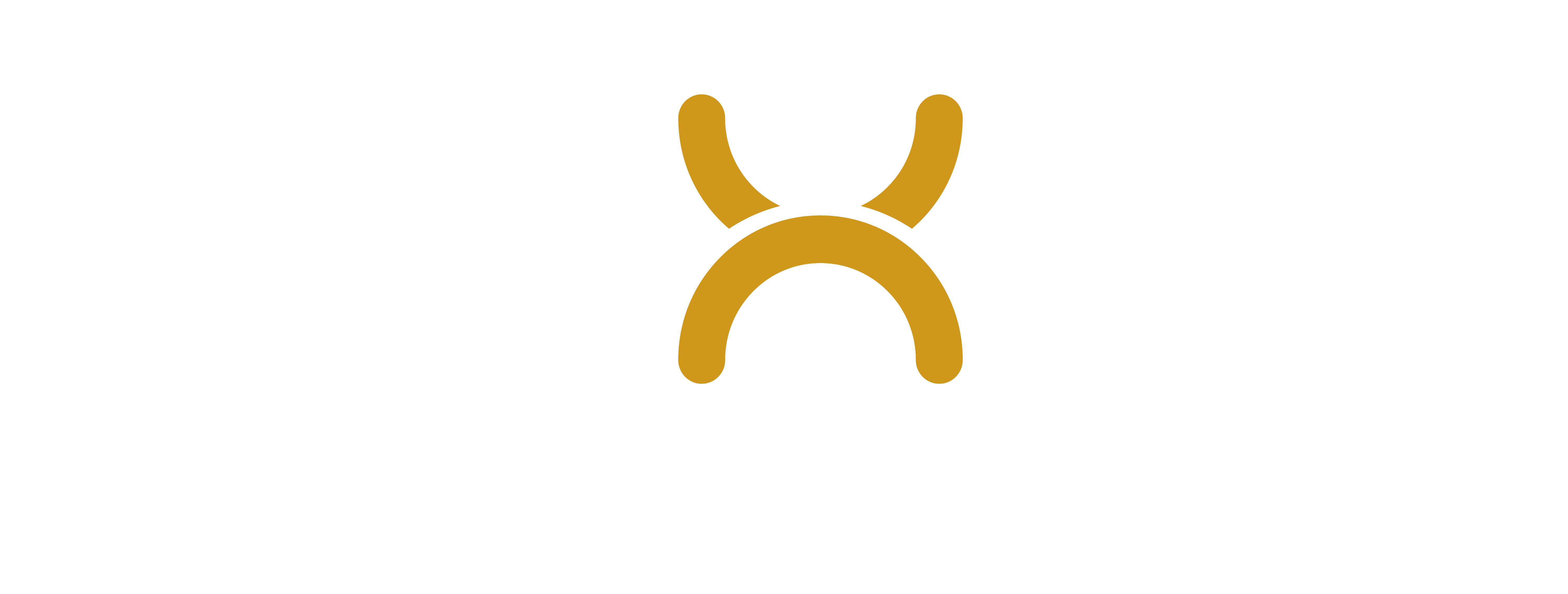 Vexor Automações